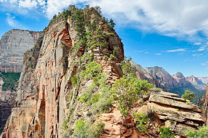 Private Half-Day Angels Landing Guided Hiking Tour