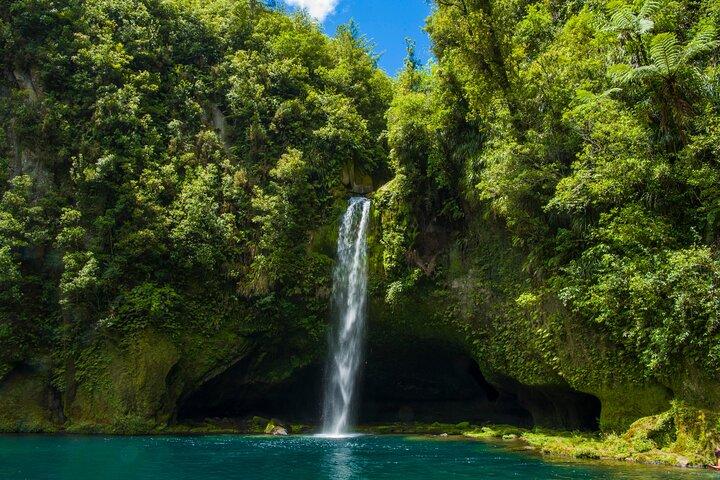 Tauranga Shore Excursion: Omanawa Falls & Great Sights Tour