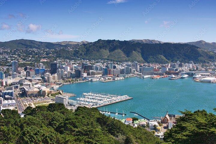 Guided Small Group Walking Tour in Wellington