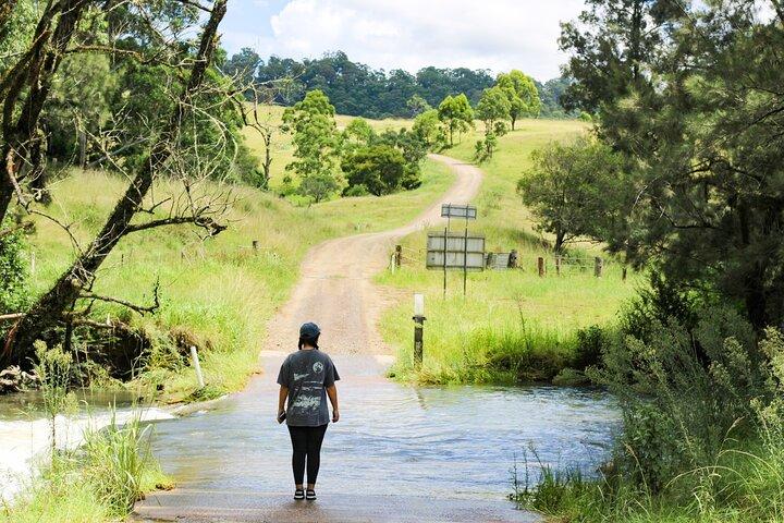 Full Day Tour in Country Towns, Rivers and Aussie Farm