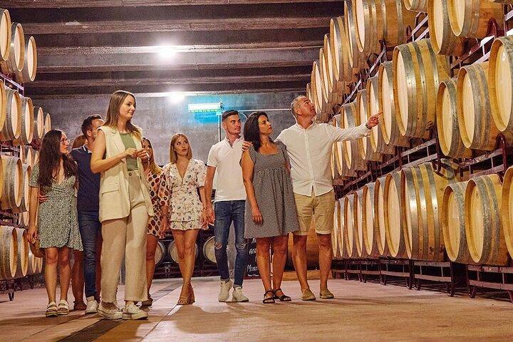 Exclusive Half Day Tour of Wineries and Olive Oil From Mendoza