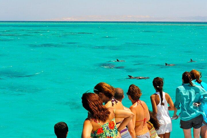 Key West Dolphin & Snorkel Experience 