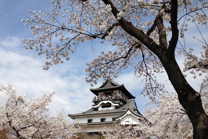 1 Day Seki Mino and National Treasure Inuyama Castle from Nagoya