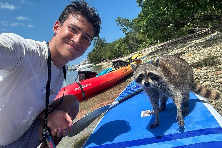 Raccoon Island exploration on SUP/Kayak