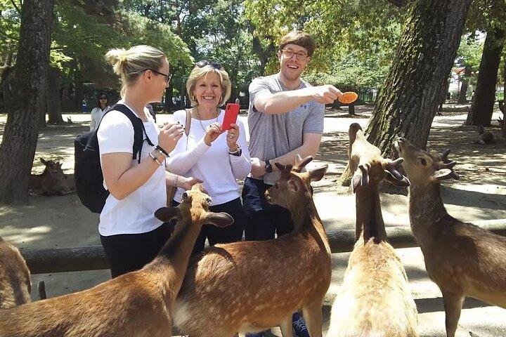 Nara Best Spots Private Tour with Licensed Guide (6h/8h)
