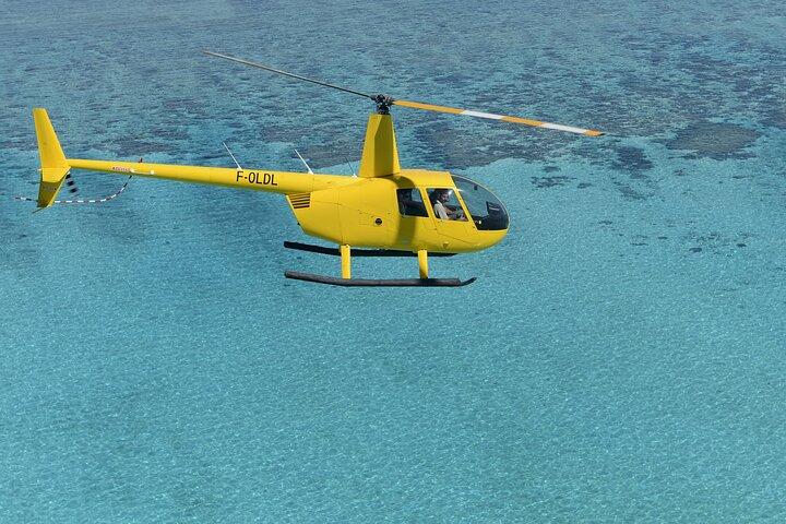 Private Helicopter Sightseeing Tour’ in the Magnificent South