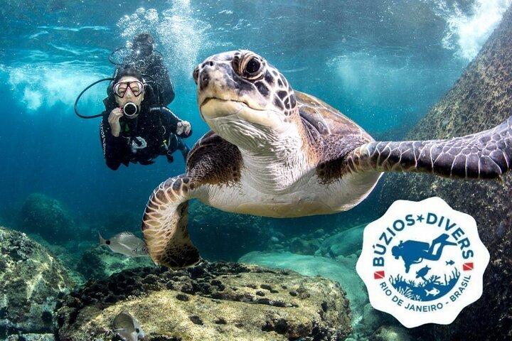 Diving for Beginners and Accredited - Búzios RJ