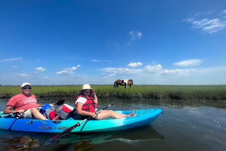 Guided Assateague Kayaking and Wildlife Discovery Tour