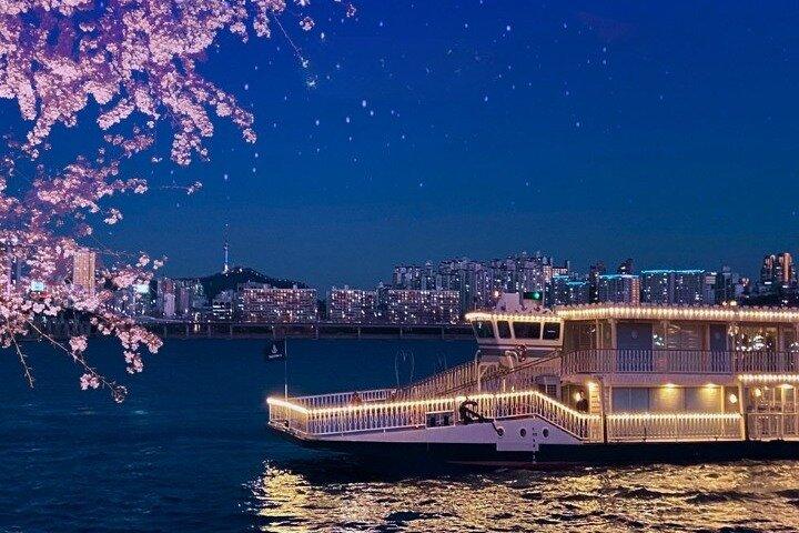 Seoul: Han River Guided Night Cruise and Hangang Park Picnic