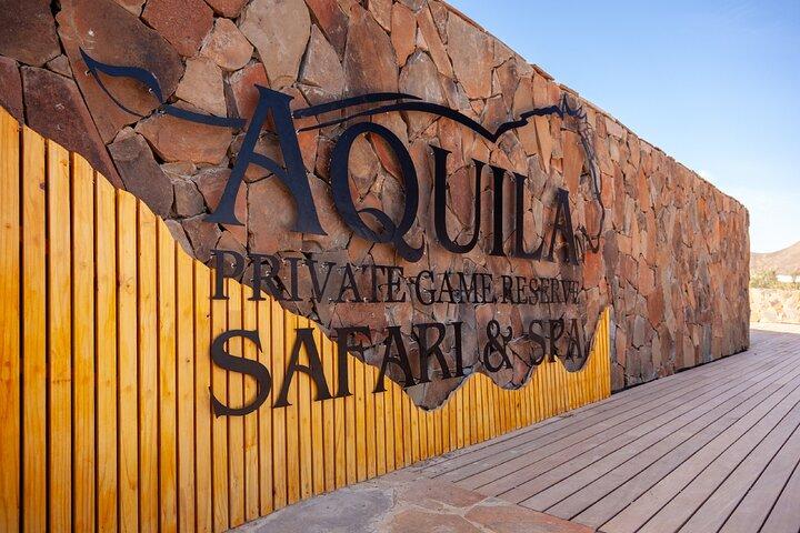 Cape Town Best Of Aquila Safari Full Day Tour with transport