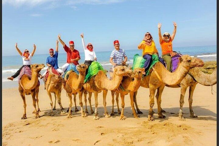 Authentic Private Tangier Tour from Marbella Camel Ride & Lunch
