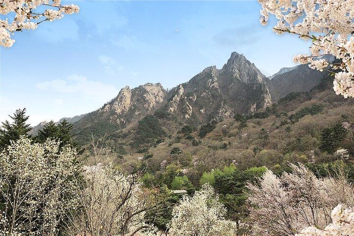 Mt. Seorak+Nami Island+Garden of Morning Calm Day Trip from Seoul