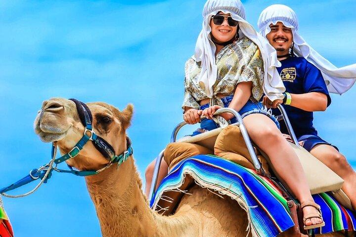 Camel Ride and UTV Combo Adventure, with Tequila Tasting