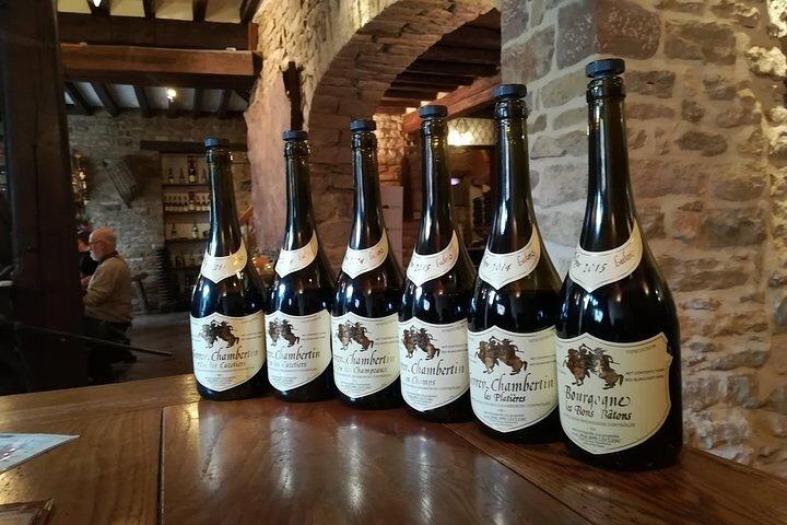 Beaune & Burgundy Vineyards Private Day Trip from Lyon