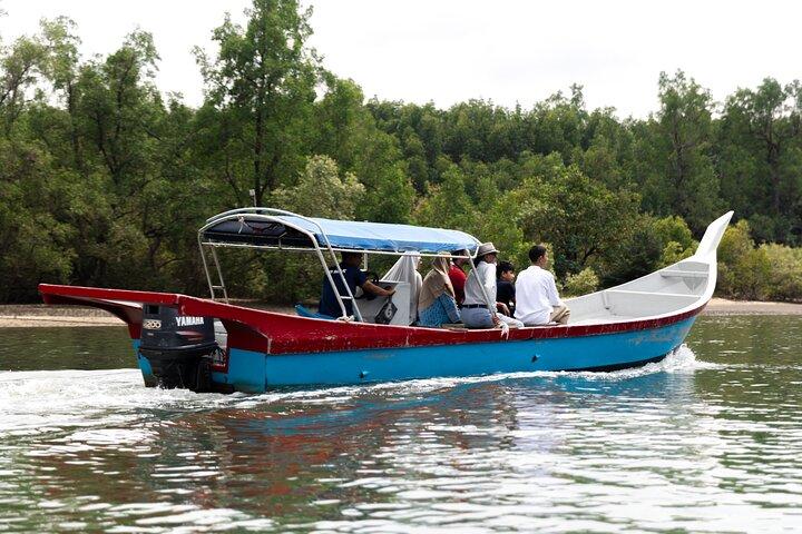  3 Hours Mangrove Boat Tour in Langkawi