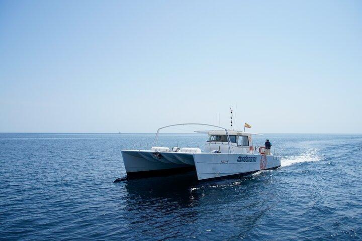 Bay trip in Calpe or Altea with a sailing catamaran