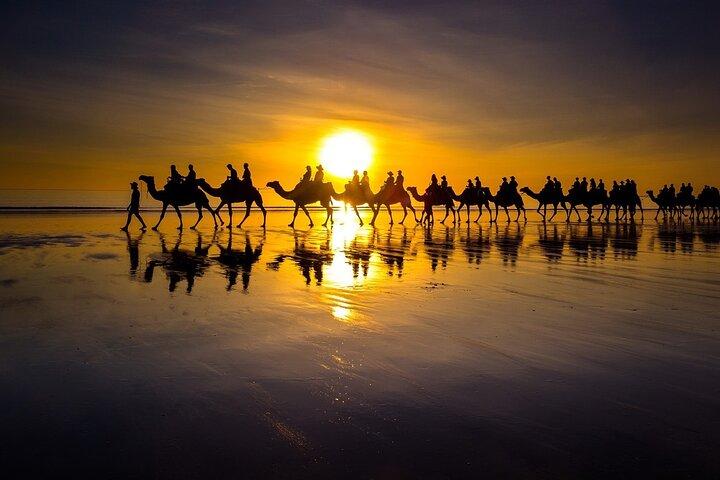 Sunset Camel Ride Adventure on Achakkar Beach in Tangier