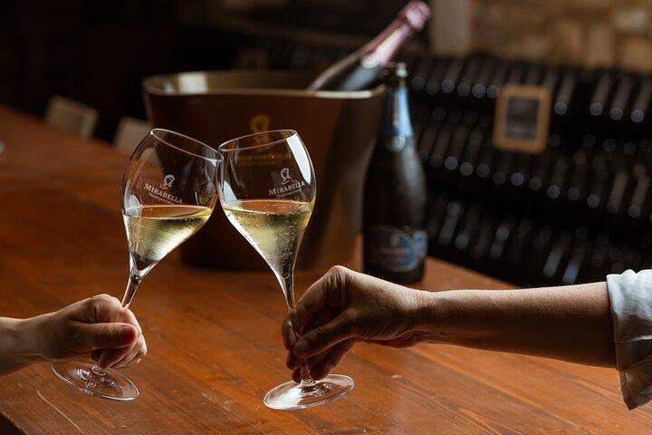Vineyard Tour: Top Franciacorta Wine Tasting
