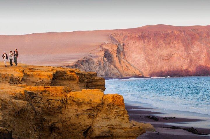 Full Day Tour to Visit Ballestas Islands and Paracas Reserve