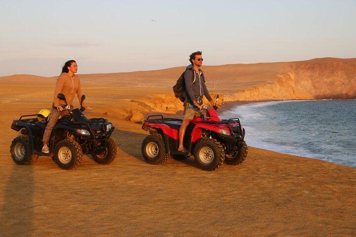  Off Road Paracas Reserve Exploration by Buggy and ATV