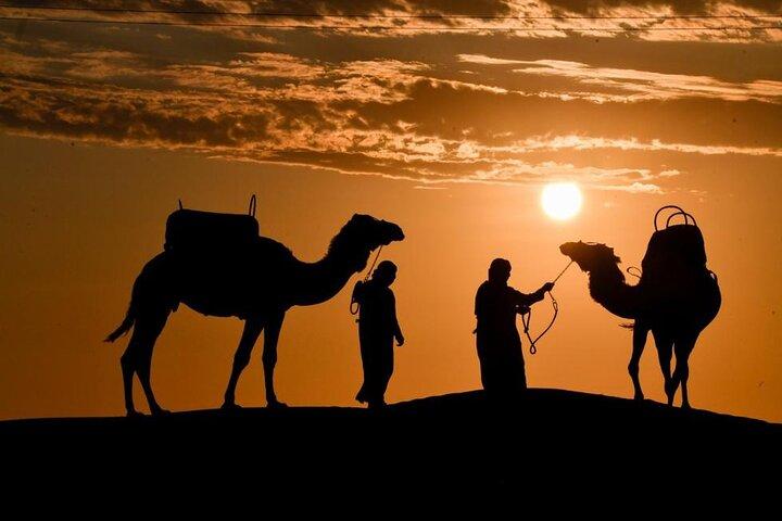 Camel Ride Desert Experience