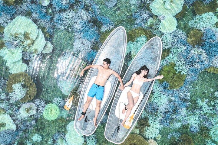 【Private】Clear SUP Ride with Drone Photography in Ishigaki Island