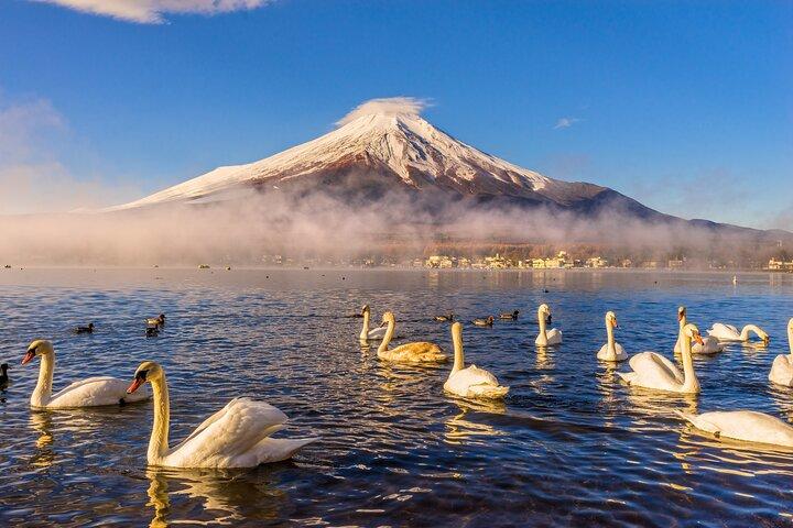 Mount Fuji Private Tour by car - English speaking driver