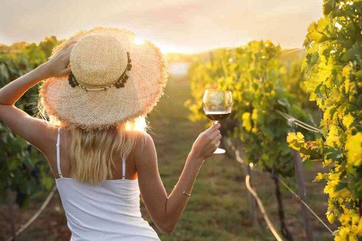 Santa Barbara Wine Country Vineyard & Village Shuttle & Tour