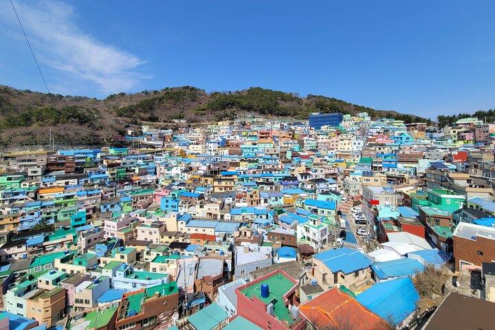 Busan Half-Day Private Tour in English (Upto 5 Pax)