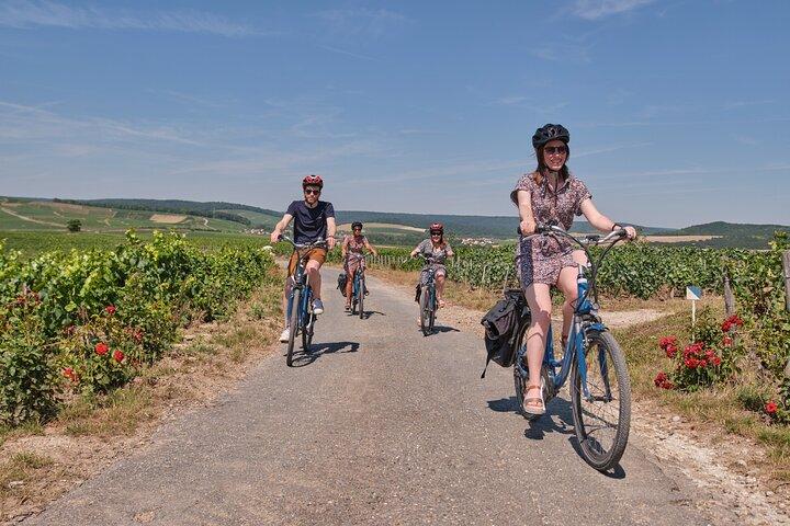 E-bike Burgundy day tour, tastings & lunch from Beaune or Dijon
