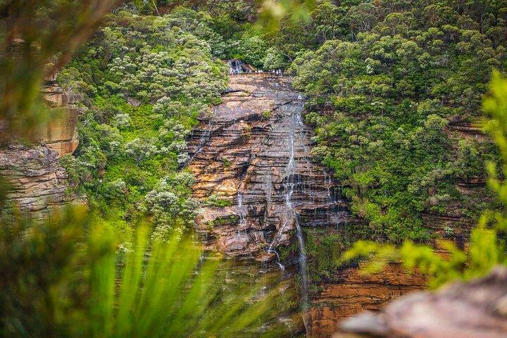 Private Blue Mountains Rainforest and Waterfalls Tour