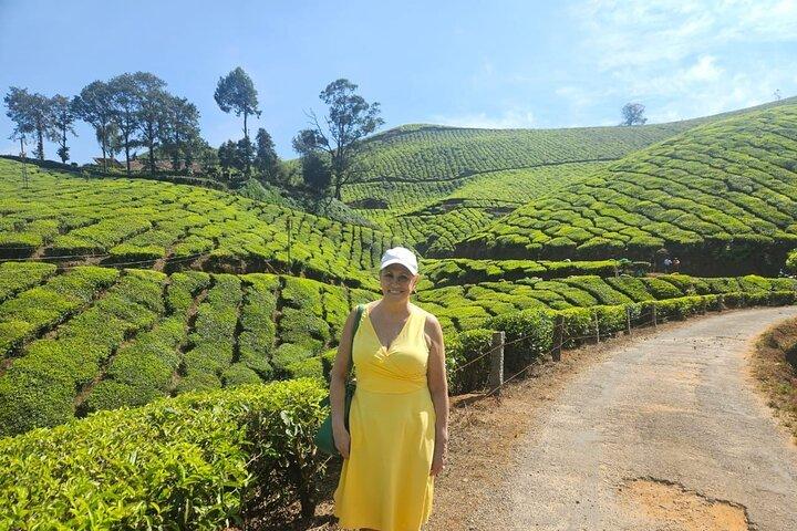 Munnar 3-Day Private Sightseeing Tour from Madurai