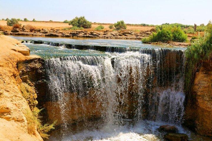 Private Tour to Fayoum Whales Valley & Wadi El Rayan from Cairo
