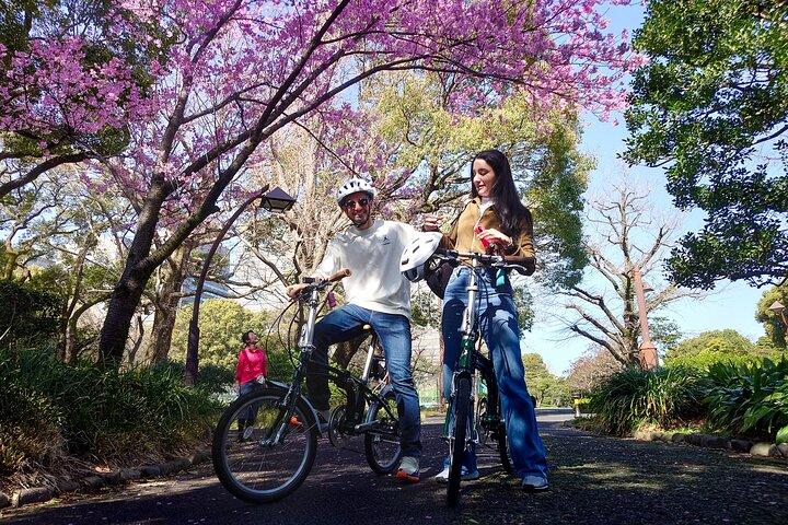 *Starting / Ending at Your Hotel* 3hr Private E-bike Tour Tokyo