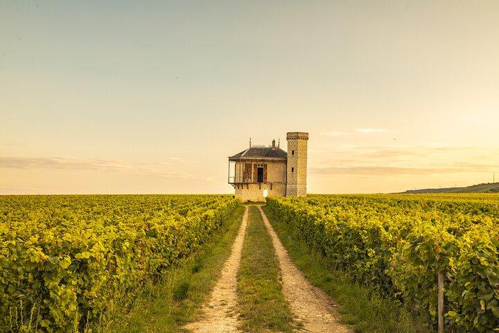 Private wine tour in Côte de Nuits and Côte de Beaune