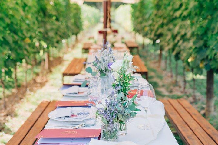Unforgettable Lunch in the Vine Rows in Tuscany