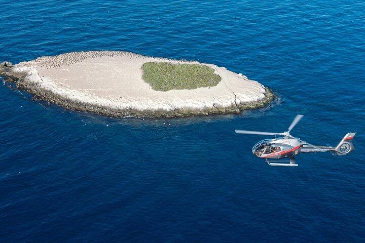 20-Minute Catalina Helicopter Tour