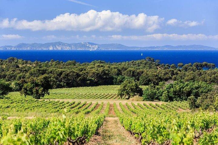 Shore Excursion Private Full Day Wine Tour in Provence from Toulon