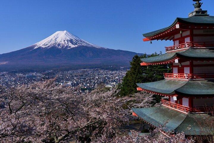 Private tour to Mount Fuji with an English driver from Tokyo
