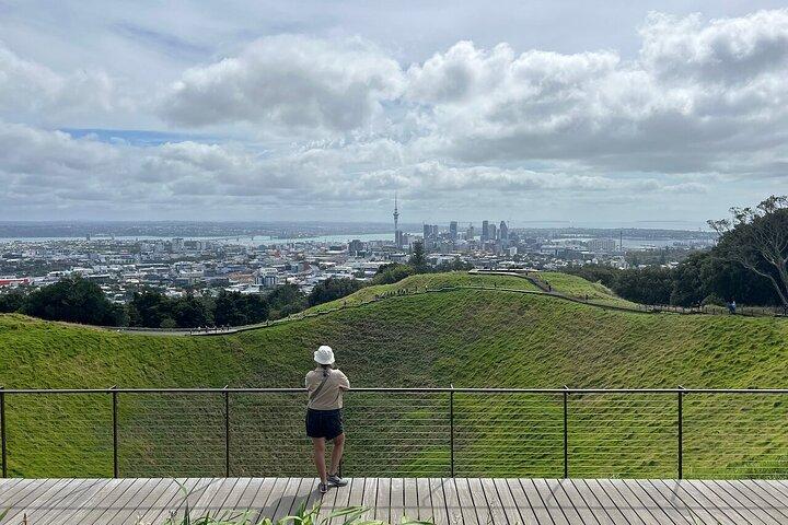 Half-Day Volcano Tour from Auckland