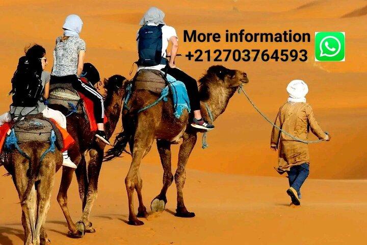 Merzouga Camel riding & Overnight stay in Luxury Camp