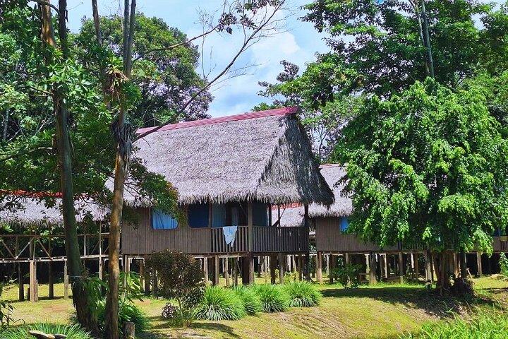 6-Day Wildlife, Exploration & Camping at Curassow Amazon Lodge