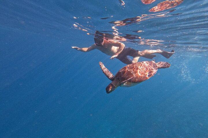 Sunset Snorkeling with Picture & Video in Gili Meno Turtle