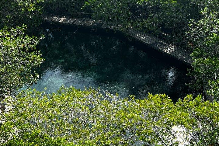 Private VIP tour to Cenote Yalahau in Holbox Island