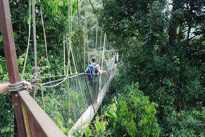 4-Day Jungle Experience in Taman Negara from Kuala Lumpur